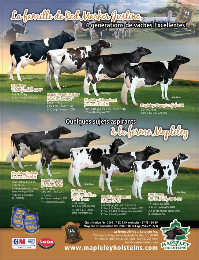 Mapleley's Advertisement